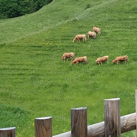 Albergo Diffuso Sauris In Sauris Di Sotto Экстерьер фото